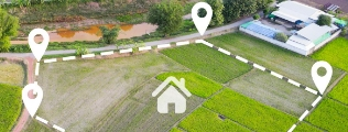 Copa de árvores verdes com o sol brilhando ao fundo entre prédios urbanos.